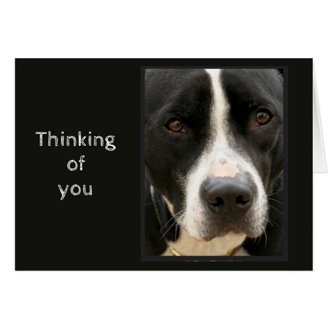 Thinking of You Difficult time Cute Sad Dog (Front Horizontal)