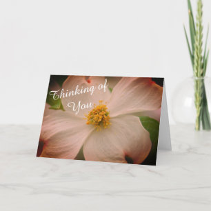 "Thinking of You" Dogwood Flower Card