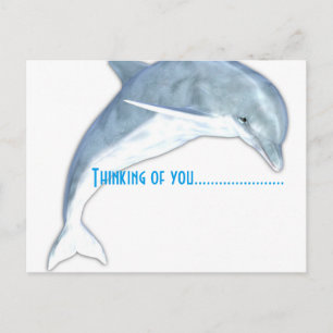 Thinking Of You Dolphin Fashion Postcard