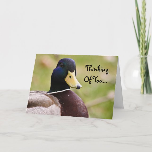Thinking Of You Duck Card (Front)