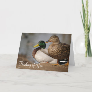 "Thinking of You" Ducks Card