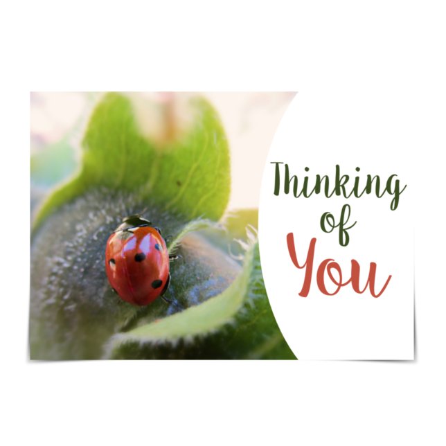 "Thinking of You" Enthusiastic Ladybug Card (Creator Uploaded)