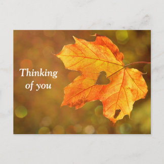 Thinking of you Fall Postcard