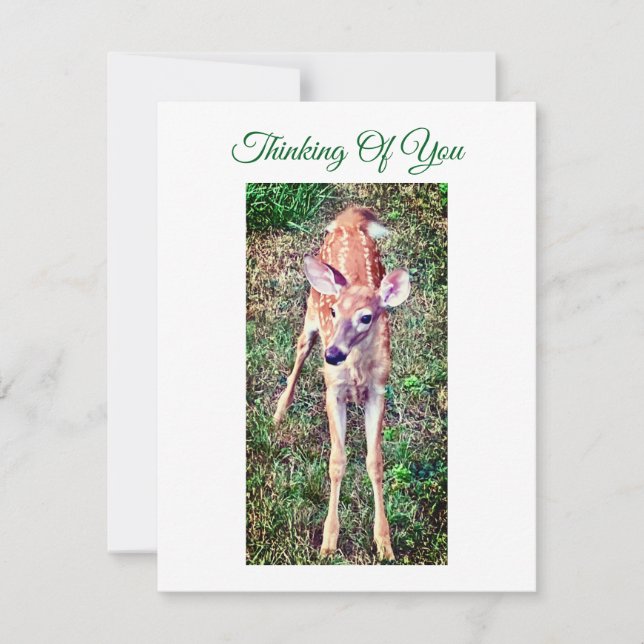 Thinking Of You Flat Note Card With Fawn (Front)