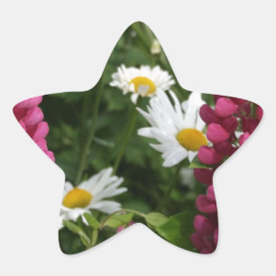 Thinking Of You Floral Blossoms Star Sticker