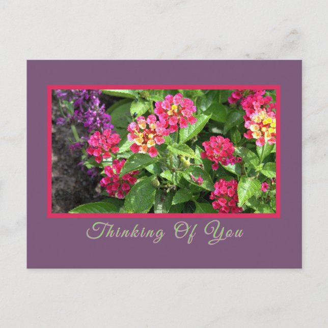 "THINKING OF YOU" FLORAL/LANTANA POSTCARD (Front)