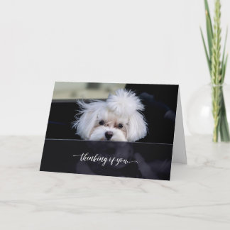 Thinking of You Folded Card