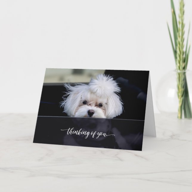 Thinking of You Folded Card (Front)