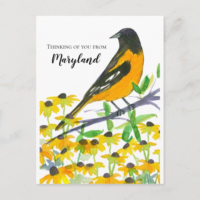 Thinking of You from Maryland Baltimore Oriole Postcard (Front)