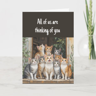 Thinking of You Fun Group Of Cats  Card