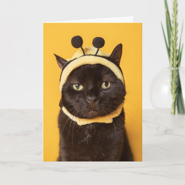 Thinking of You Funny Cat in Bumblebee Hat Humour  Holiday Card (Front)