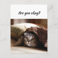 Thinking of You Funny Cat Let Me know You're okay