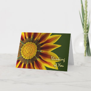 Thinking of You, Gazania Flower, Blank Card