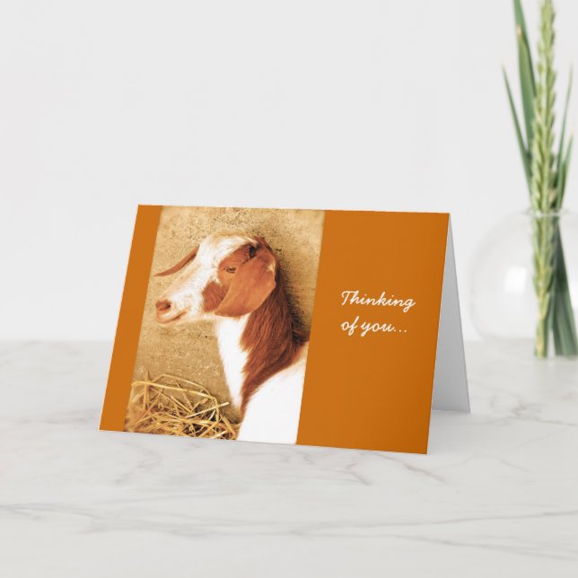 Thinking of You Goat Card (Front)