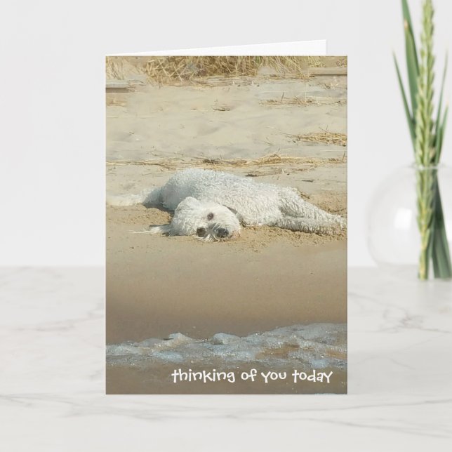 thinking of you-goldendoodle laying on beach card (Front)