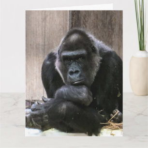 THINKING OF YOU GORILLA big GREETING CARDS