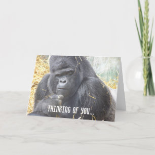 Thinking of You Gorilla Card