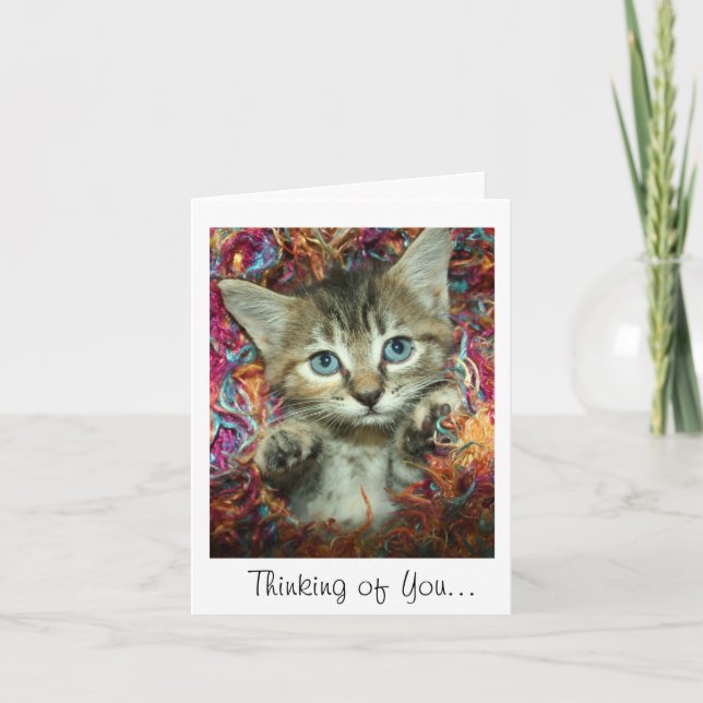 Thinking of You... Gray Tabby Kitten Card (Front)