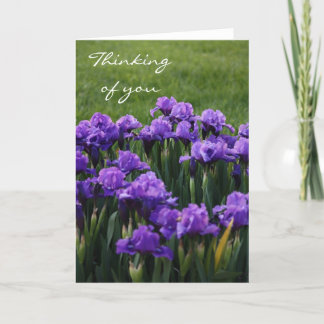Thinking of you greeting card