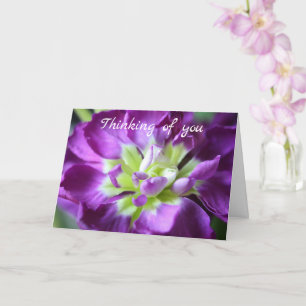 Thinking of You Greeting Card