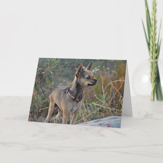 Thinking of You Greeting Card (Front)