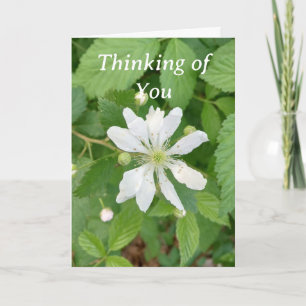 Thinking of You greeting card
