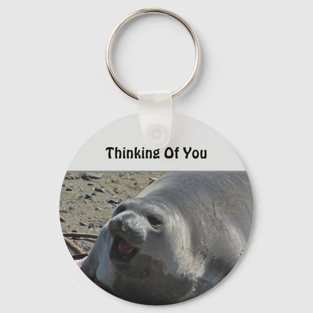 Thinking Of You Grey Elephant Seal Ocean Animal Keychain (Front)