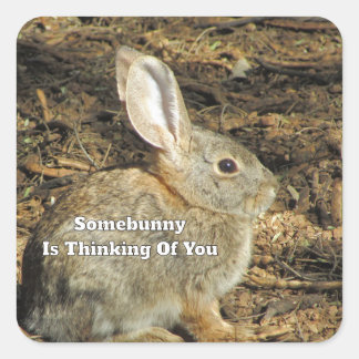 Thinking Of You Humourous Quote Brown Bunny Photo Square Sticker