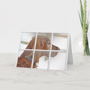 thinking of you-Irish Setter in snow Card