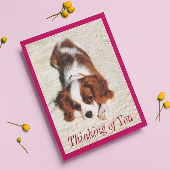 Thinking of You King Charles Spaniel Puppy Card (Creator Uploaded)