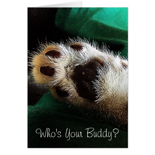 Thinking of You Kitten Paw Photograph Blank Inside (Front)