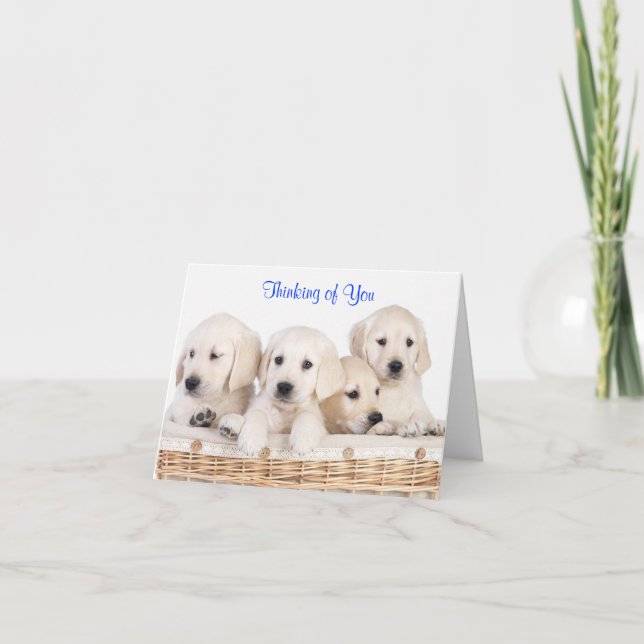 Thinking of You Labrador Retriever Puppies Card (Front)