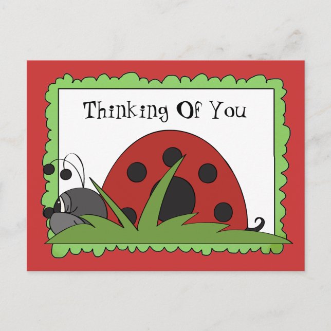 Thinking Of You Ladybug postcard (Front)