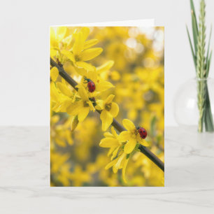 Thinking of You Ladybugs on Forsythia Branch Card