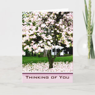Thinking of You Magnolia Tree Greeting Card