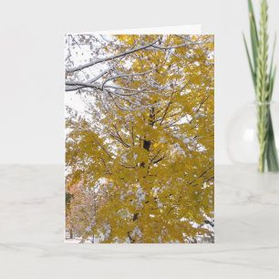Thinking of You Midwest Fall and Winter Card