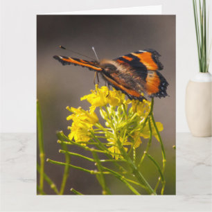 Thinking Of You Milbert's Tortoiseshell Butterfly  Card