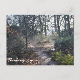 Thinking of You Misty Winter Garden Postcard