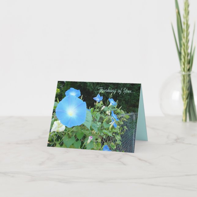 Thinking of You...Morning Glories Notecard (Front)