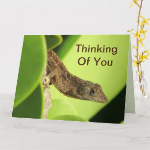 Thinking of You Nature Photo Resting Gecko Card