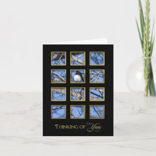 Thinking of You - Nature through a Window Card