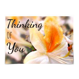 "Thinking of You" Orange Azalea Card