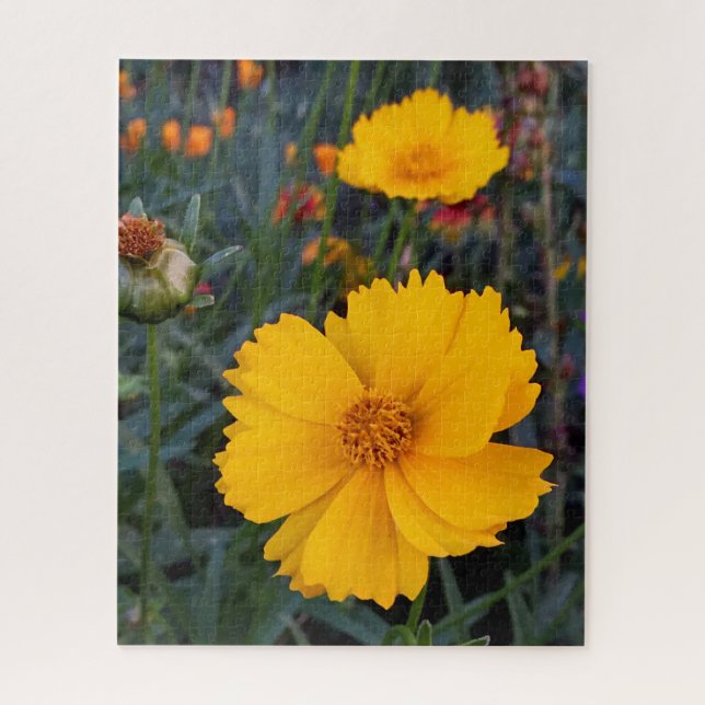 Thinking of You Orange Cosmos Photograph Jigsaw Puzzle (Vertical)