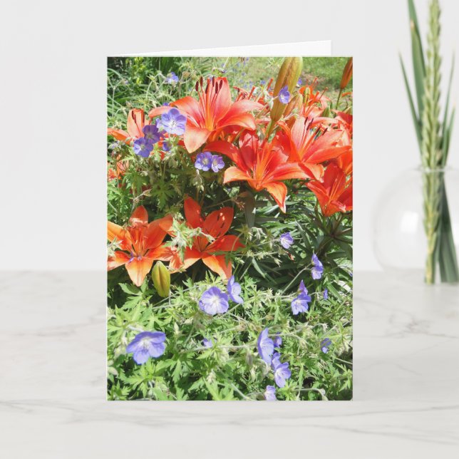 Thinking of You, Orange Lillies Card (Front)