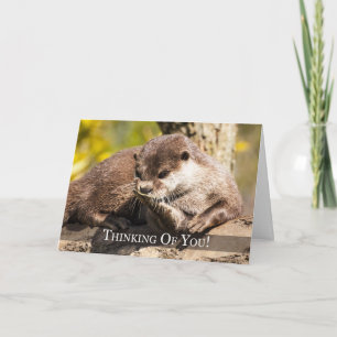 Thinking Of You Otter Greeting Card