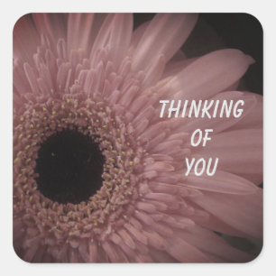 Thinking of You Pale Pink Flower Photo Floral Square Sticker