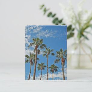 Thinking of You Palm Trees Blue Sky Paradise Postcard