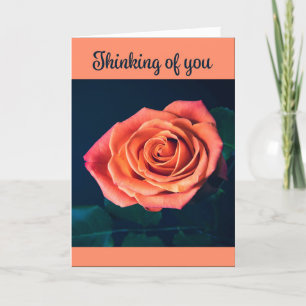 Thinking of You Peach Colour Rose Photograph Holiday Card