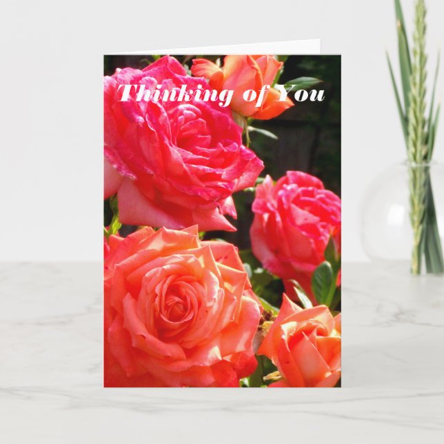 Thinking of You - Peach Rose's Card (Front)