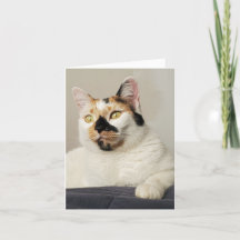 Thinking of you Photo Greeting